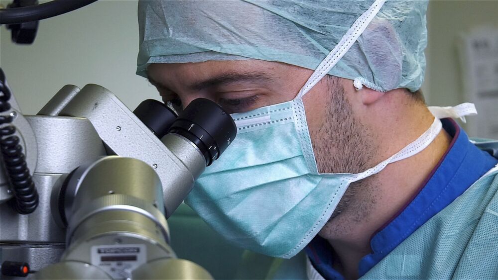 Des formations sur mesure et pluridisciplinaires pour les vétérinaires